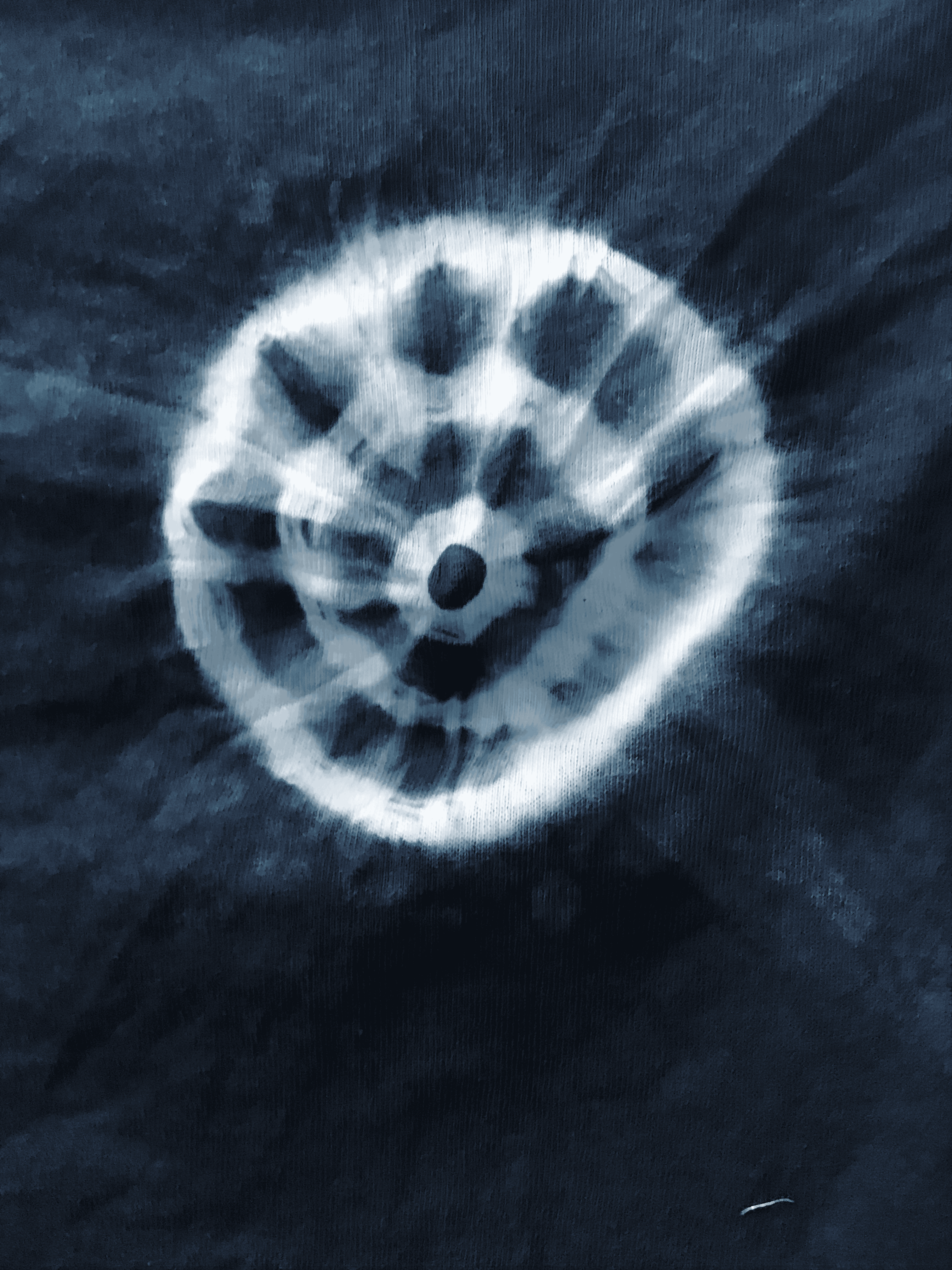 indigo_resist_2