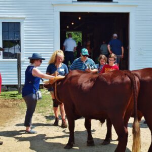 AARP - 11AM Historic Buildings Tour and Lunch