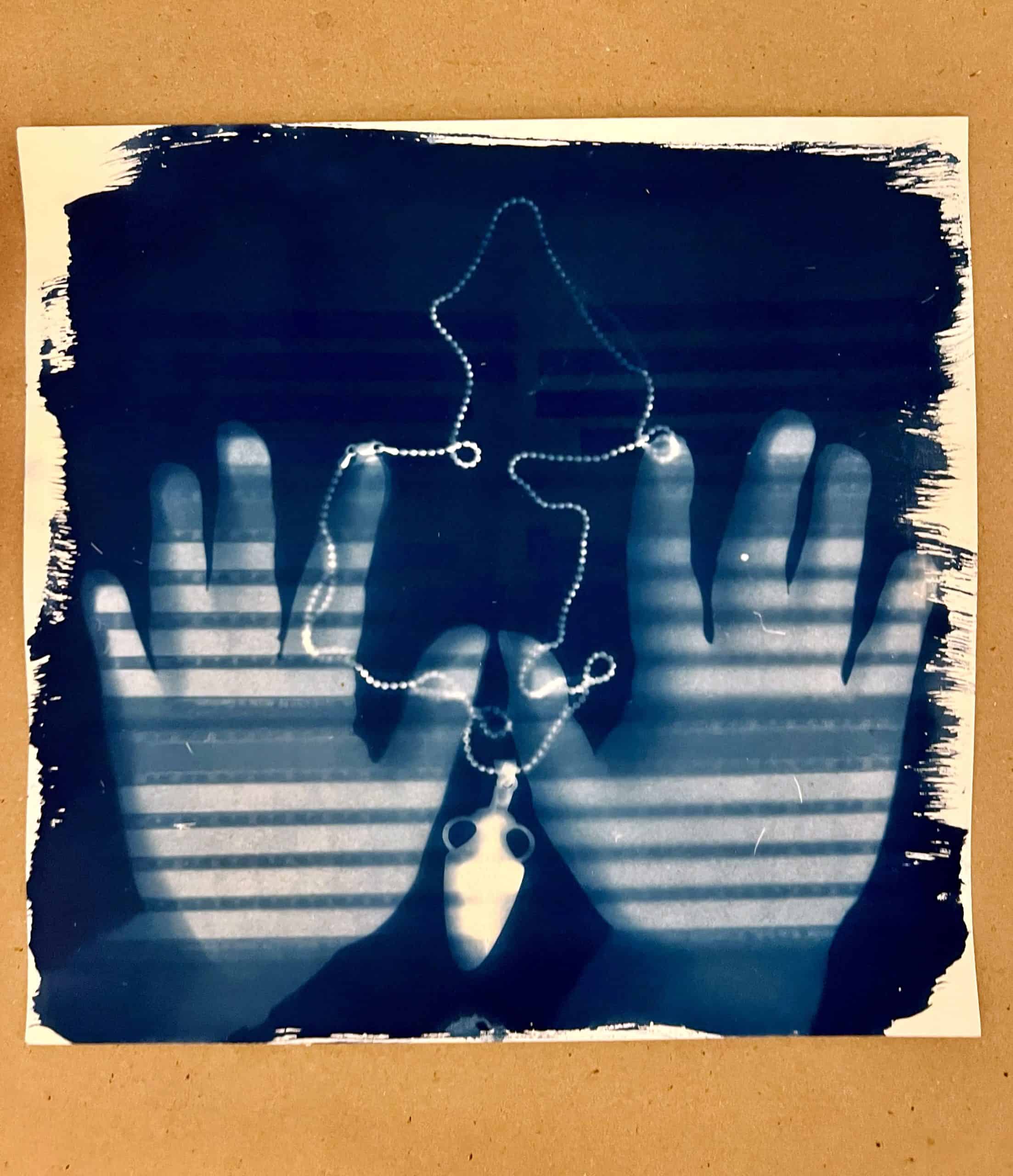 Cyanotype Intensive Sanborn Mills Farm