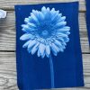 cyanotype intensive