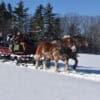 Sleigh Ride 2025