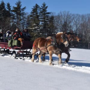 Sleigh Ride 2025