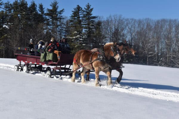 Sleigh Ride 2025