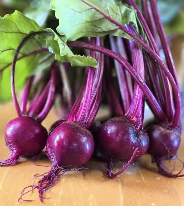 Vegetable Gardening Practices: From Seedling to Harvest