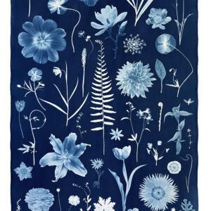 cyanotype intensive