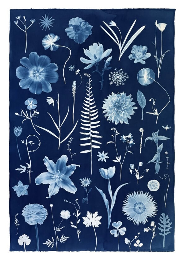 cyanotype intensive