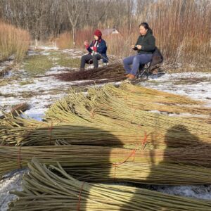 Sanborn Mills Farm Willow Harvest