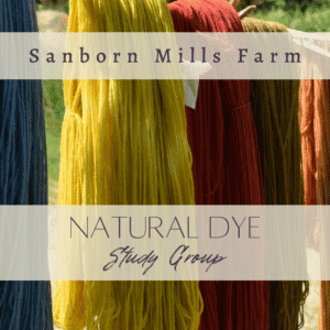 Members Only Natural Dye Study Group Dye Day
