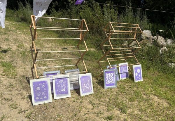 exploration of color