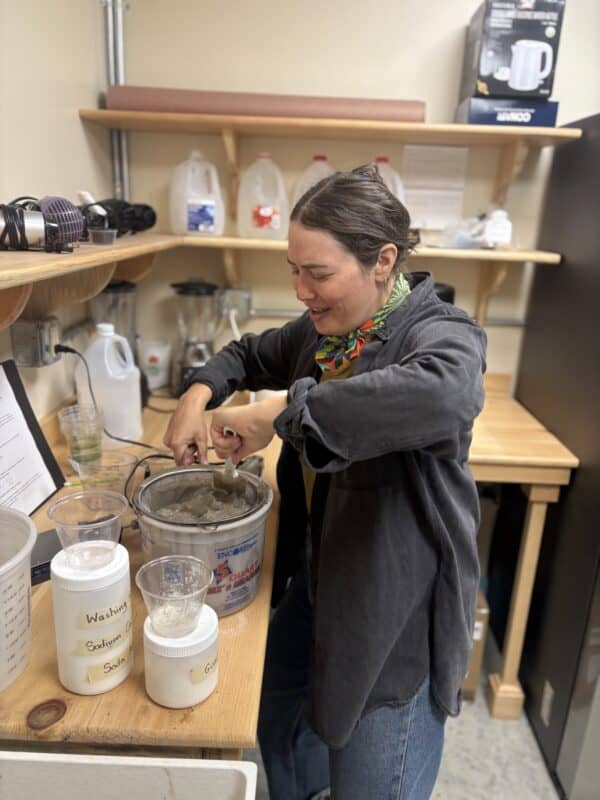 exploration of color