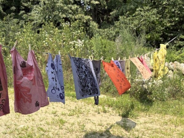 exploration of color