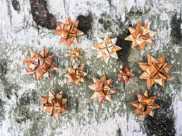 Crafting with Birch Bark