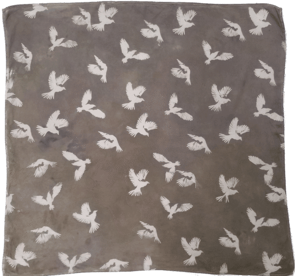 Mordant Printing and Painting with Natural Dyes