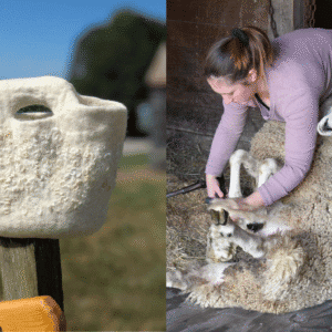 wool processing lead