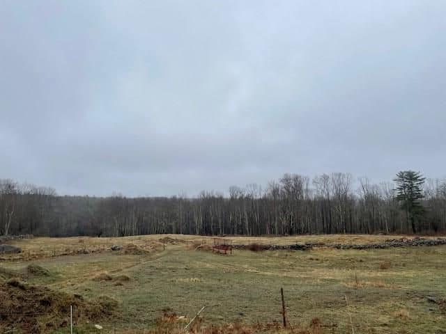 rainy field.jpg